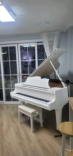 深圳成人钢琴培训 成人钢琴俱乐部 乐器培训钢琴零基础入门培训